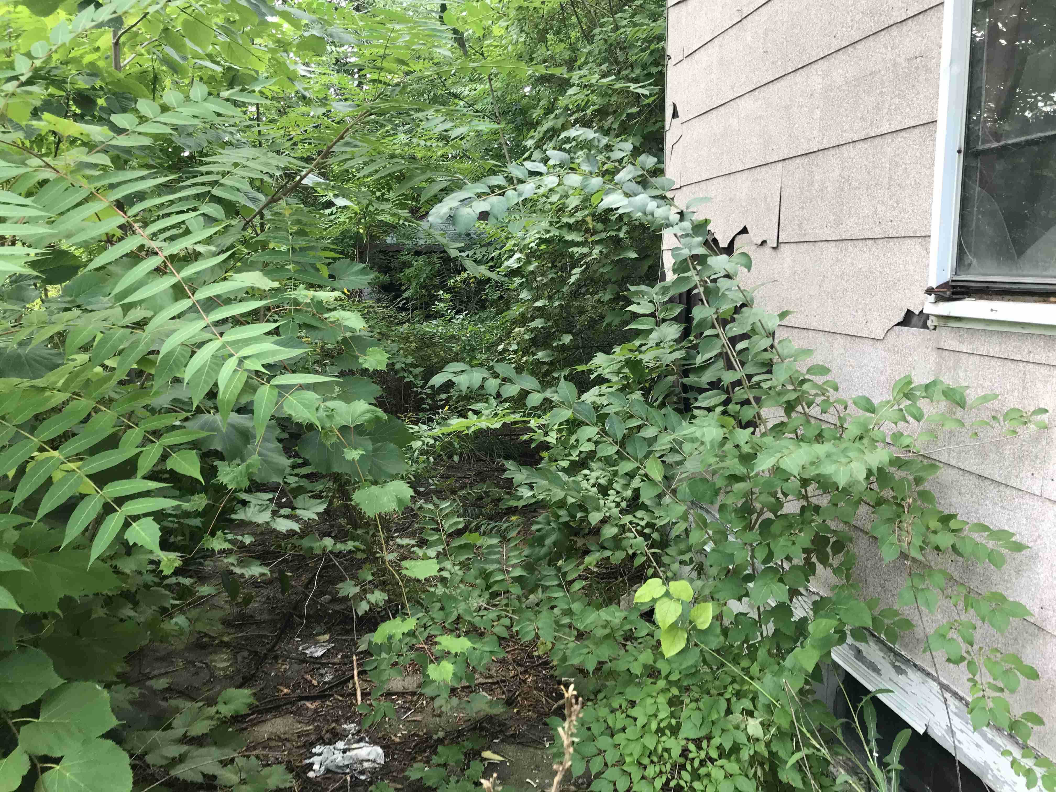 Photo Sep 09, 5 40 46 PM.jpg